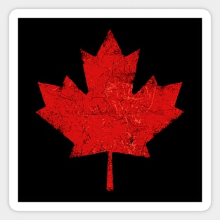 Canada, maple leaf, symbol Magnet